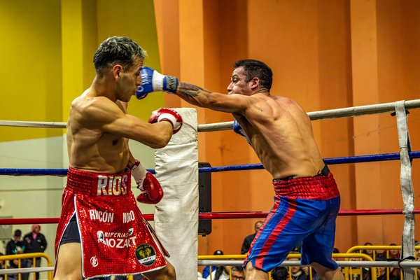 Collations protéinées pour compléter votre menu de musculation